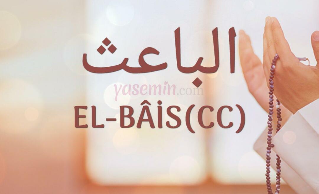 Čo znamená El-Bais (cc) z Esma-ul Husna? Aké sú jeho prednosti?