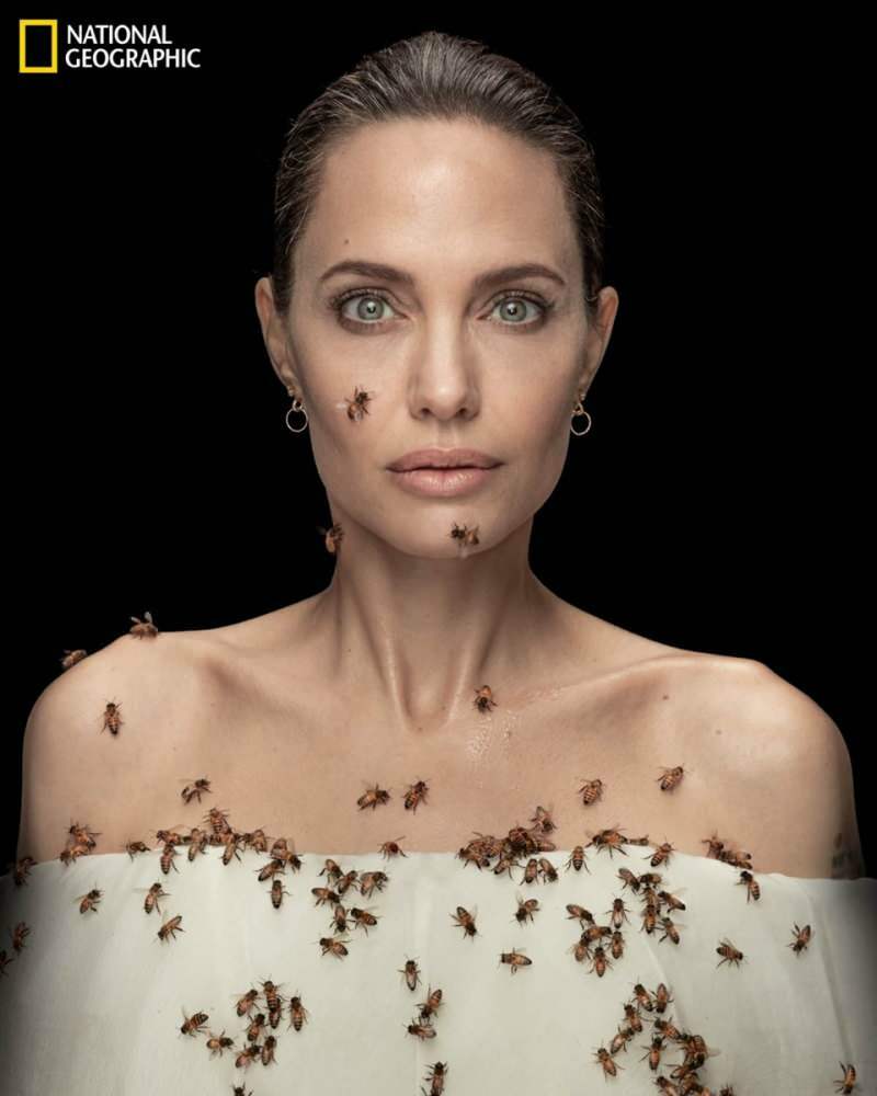Angelina Jolie v objektíve so včelami pre včely!