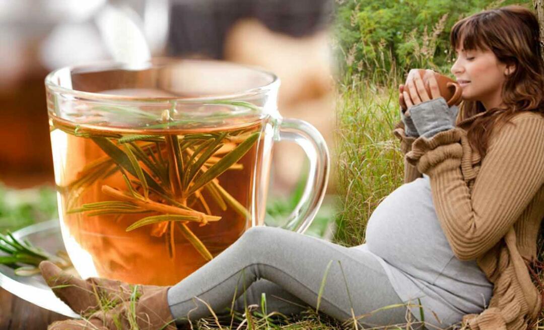 Môžu tehotné ženy piť zimný čaj? Aký čaj by sa mal piť počas tehotenstva? zimné čaje pre tehotné ženy