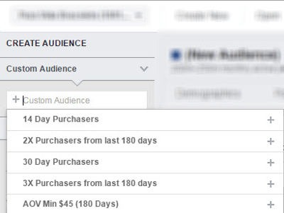 Analyzujte svoje zvolené vlastné publikum v službe Facebook Audience Insights.