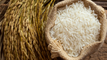 Ako sa rozumie to najlepšie z ryže? 