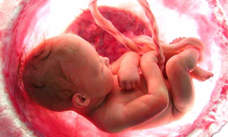 Narodenie dieťaťa v maternici