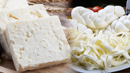 Ako pochopiť dobrý syr? Tipy na výber syra