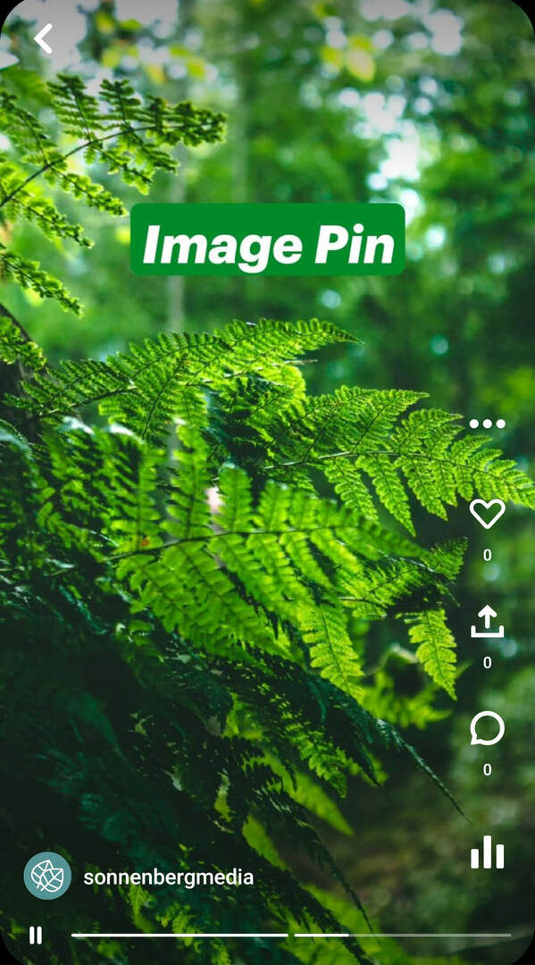 co-su-pinterest-idea-pine-sonnenbergmedia-image-pin-priklad-2