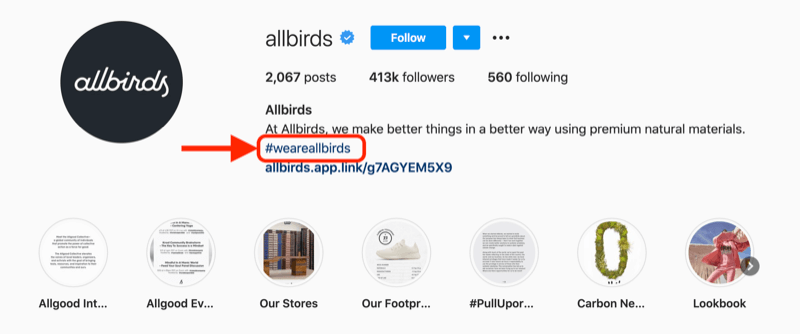 príklad hashtagu spoločnosti zahrnutý v popise profilu účtu instagram @allbirds