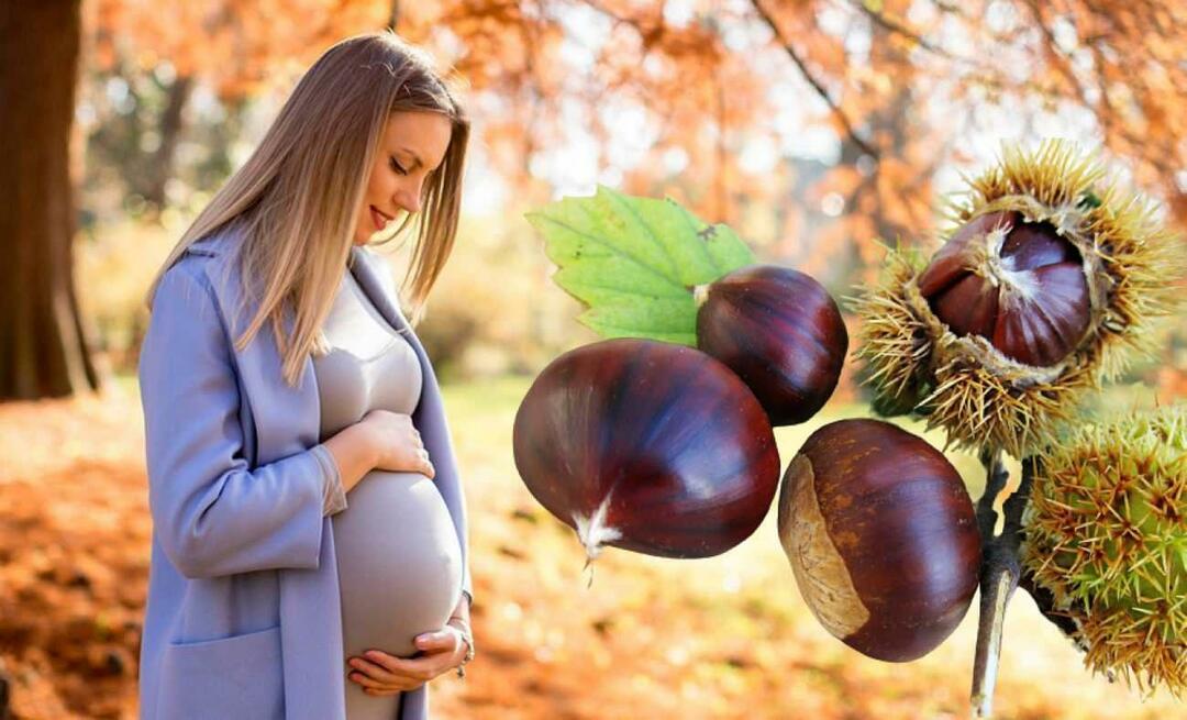 Môžu tehotné ženy jesť gaštany? Výhody jedenia gaštanov počas tehotenstva pre dieťa a matku