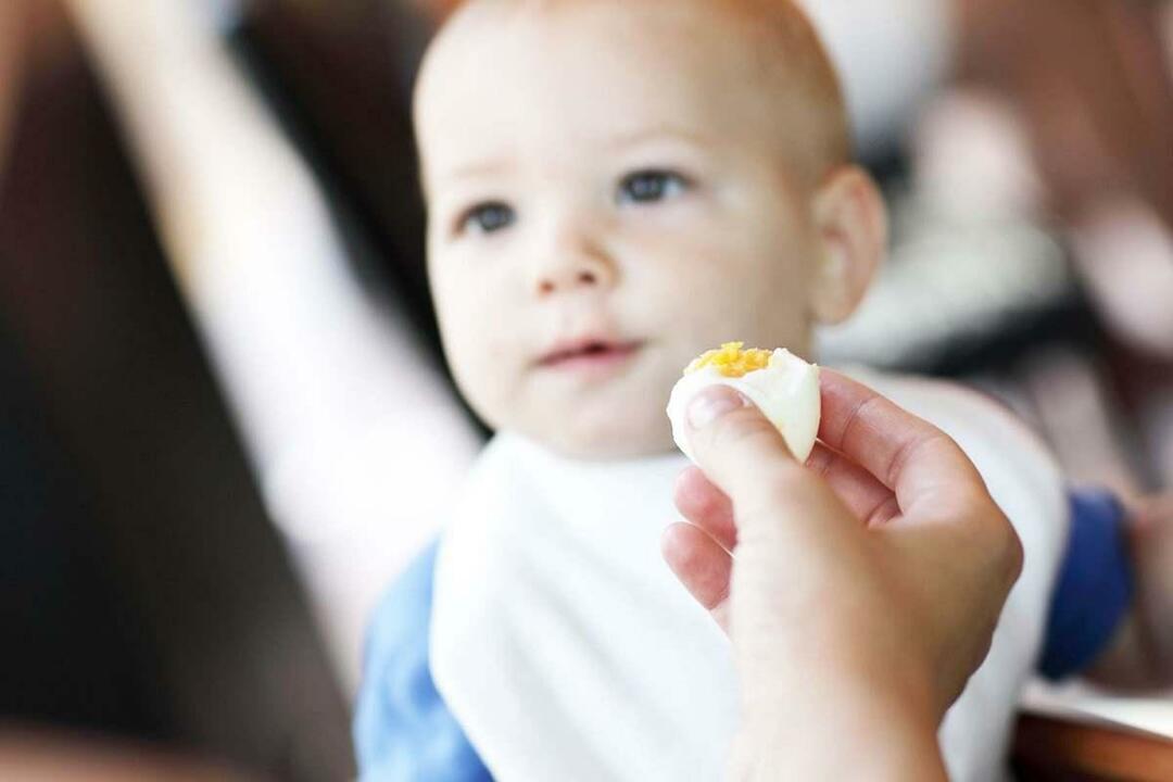dieťa jesť vajcia
