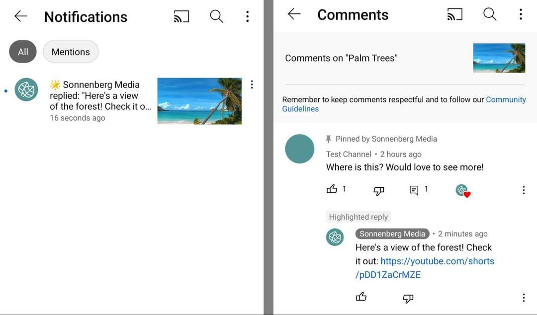 ako-používať-youtube-shorts-commenting-feature-to-tag-and-rement-commenters-copy-url-for-shorts-and-share-in-in-comment-on-original-video-sonnenbergmedia-example-15