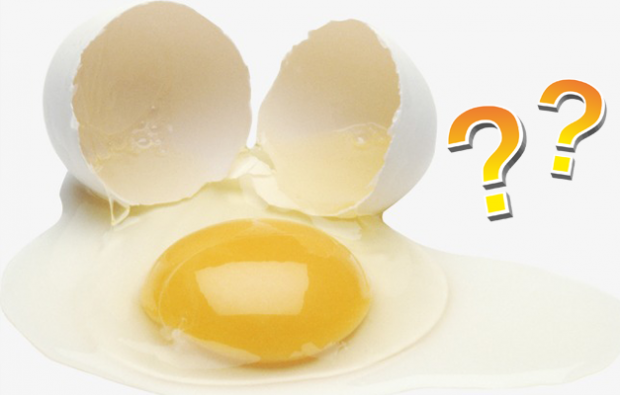 Je prospešné, či je vaječný žĺtok alebo biele