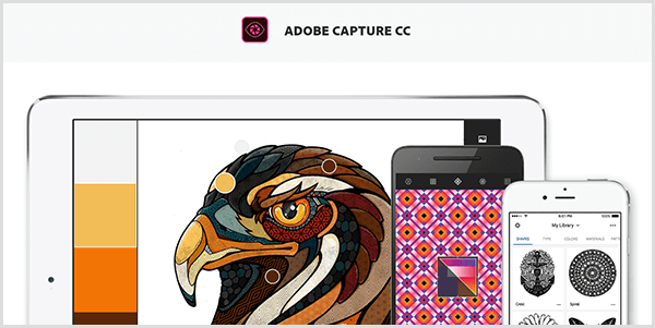 Aplikácia Adobe Capture vytvorí paletu z obrázka, ktorý nasnímate pomocou mobilného zariadenia. Webová stránka zobrazuje ilustráciu vtáka a paletu vytvorenú z ilustrácie, ktorá obsahuje svetlošedú, žltú, oranžovú a červenohnedú farbu.