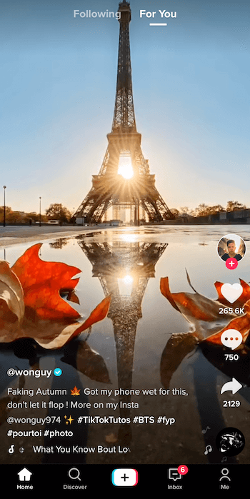 snímka obrazovky príspevku tiktok od používateľa @ wonguy974 s názvom fingovaná jeseň, ktorá zobrazuje siluetu Eiffelovej veže a západ slnka za ním s jeho odrazom v kaluži orámovanej dvoma padajúcimi listami na dne obrázok