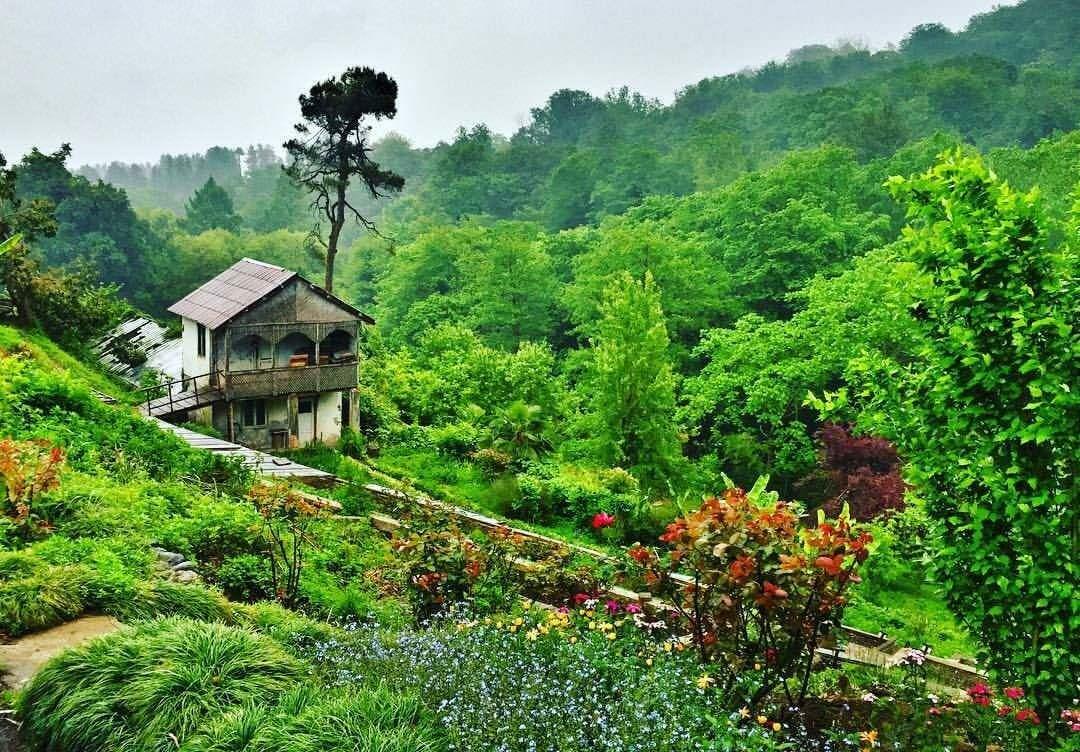 Botanická záhrada Batumi