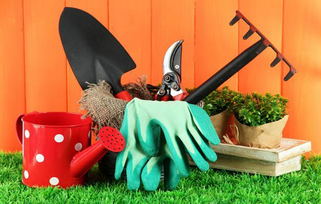 ako čistiť záhradu