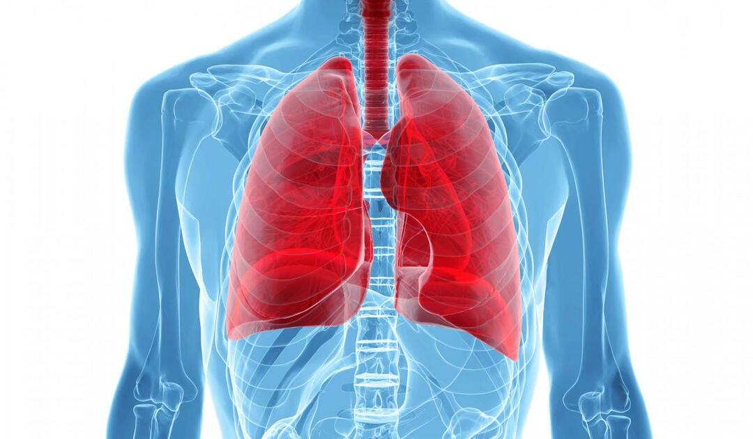 Čo je syndróm bielych pľúc a aké sú jeho príznaky? Aká je liečba syndrómu bielych pľúc?