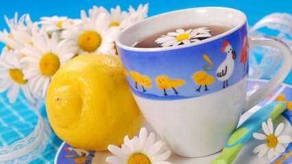 Odporúčanie bylinného čaju od Saraçoğlu počas tehotenstva! Je škodlivé pre tehotné ženy piť bylinkový čaj?