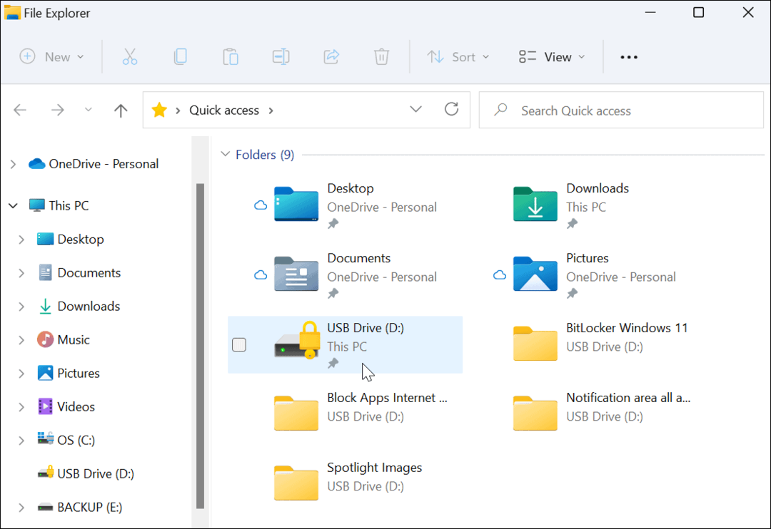 Ikona šifrovacej jednotky File Explorer