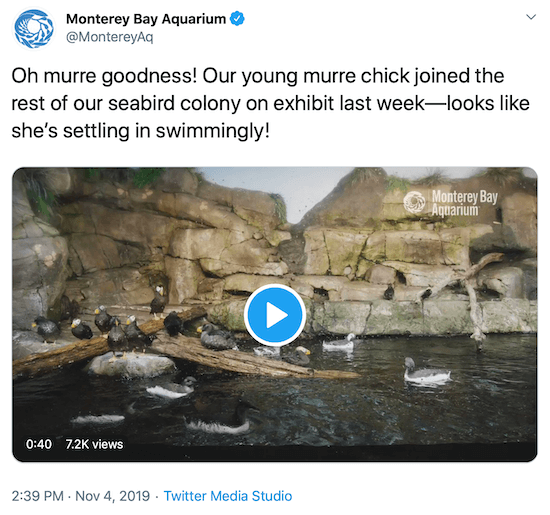 tweet z Monterey Bay Aquarium ako príklad hlasu značky na sociálnych sieťach