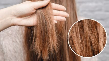 Čo robiť s vlasmi, ktoré zhoria z ory? Ako sa treba starať o ošetrené vlasy?
