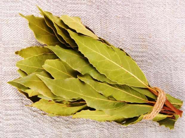 bobkový list sa najčastejšie používa v kozmetike