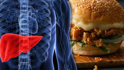 V ktorých potravinách sa nachádza tuk? Choroby spôsobené transmastnými tukmi ...