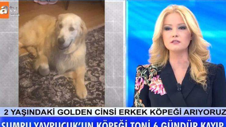 Moderátorka Müge Anlı oznámila: Pes herečky Sumru Yavrucuk bol nájdený ...