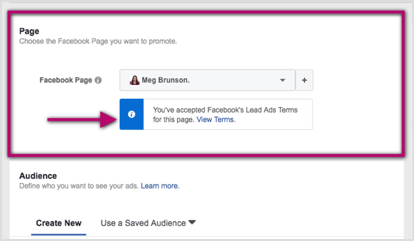 V službe Ads Manager vyberte stránku Facebooku pre hlavnú reklamu