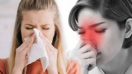 Čo je alergická rinitída? Aké sú príznaky alergickej rinitídy? Existuje liečba alergickej rinitídy?