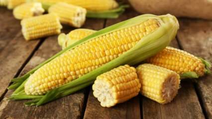 Aké sú poškodenia kukurice?