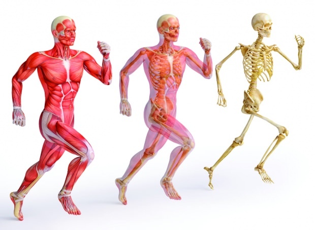 Zinok je nevyhnutný pre silnú štruktúru svalov a kostí