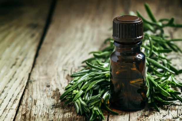 čajovníkový olej sa používa na liečbu akné a kazov