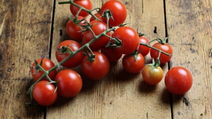 Ako zabrániť hnilobe paradajok? Ako zabrániť paradajkovej mole? 
