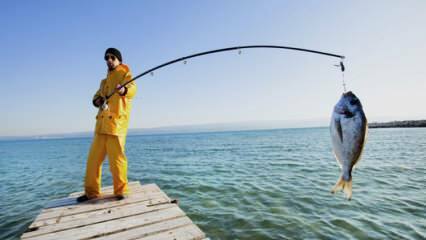 Ako loviť ryby Aké sú triky pri love pomocou udice?