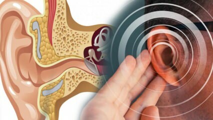 Ochorenie uší: Čo spôsobuje menier? Aké sú príznaky Meniére? Existuje liek?