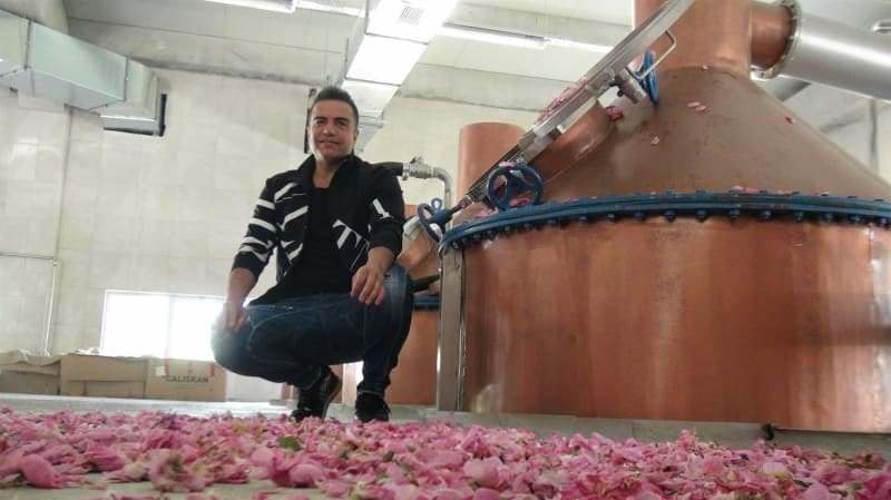 berdan mardini založil továreň na ružový olej vo svojom rodnom mardu