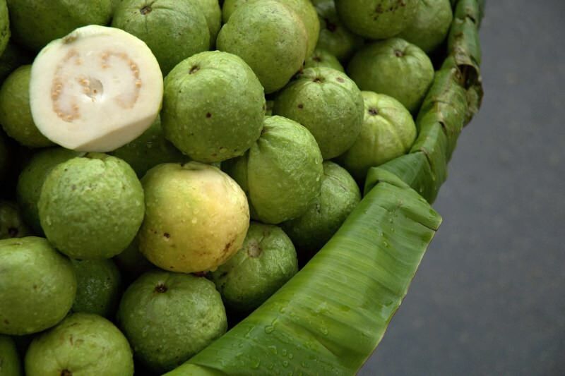 nezrelé ovocie guavan 