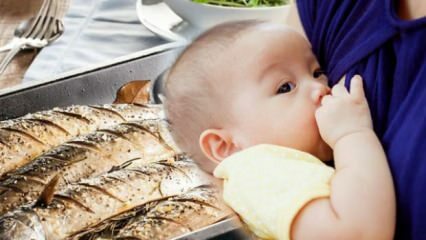 Môžu sa jesť ryby počas dojčenia?
