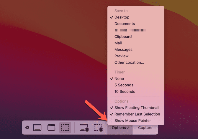 Možnosti panela snímok obrazovky Mac