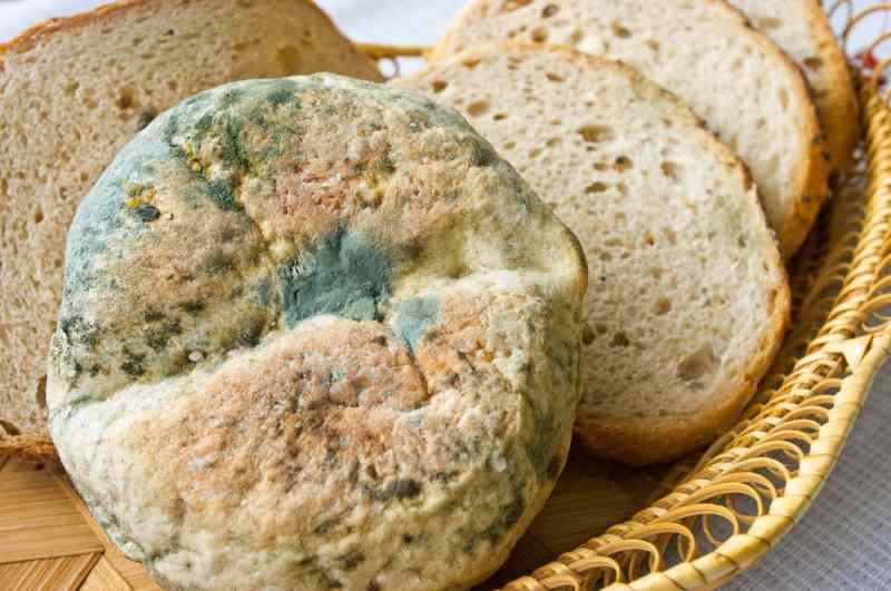 Spôsoby, ako zabrániť tomu, aby chlieb zatuchol a plesnivel