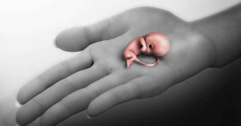 Čo je potrat? Príznaky potratu počas tehotenstva