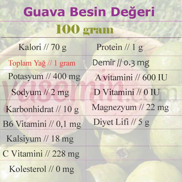 guava nutričná hodnota