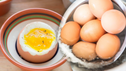 Aké sú výhody vajcia s nízkym objemom varu? Ak jete dve varené vajcia denne ...