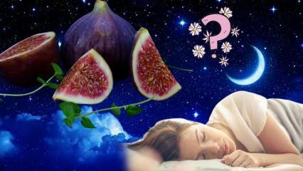 Čo to znamená vidieť figovník vo sne? Čo to znamená snívať o jedení fíg? Zber fíg zo stromu vo sne