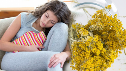 Aké sú výhody rebríčka byliny? Prírodné liečivo yarrow na menštruačné bolesti!