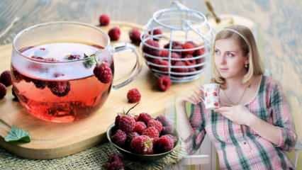 Čaj uľahčujúci pôrod: Malina! Výhody malinového čaju pre tehotné ženy