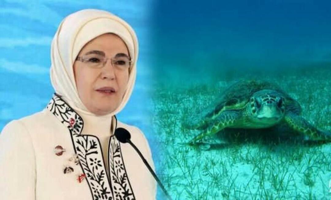 Zdieľanie "morskej korytnačky" od Emine Erdoğanovej: "Kým ich budeme chrániť, budú aj naďalej žiť"