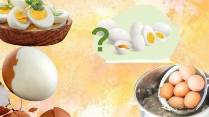 Diéta s varenými vajcami! Zasýti vás vajíčko? 12 kíl za týždeň 