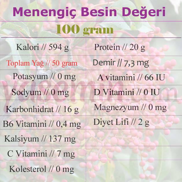 nutričná hodnota menengiç 
