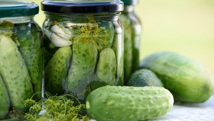 Ako vyrobiť nakladané uhorky doma? Tipy na prípravu uhoriek