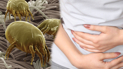 Kde je najšpinavejšia časť tela a ako sa čistí? Aké sú choroby spôsobené parazitmi? 