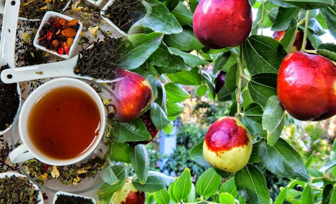 Aké sú výhody jujubového čaju, ktorý odporúča Ibn Sina? Na čo je dobrý jujubový čaj?